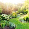 Fit für Hitze und Dürre: 10 Tipps für den klimaresistenten Garten