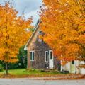 Gartenarbeit im Herbst: Rechte und Pflichten an der Grundstücksgrenze